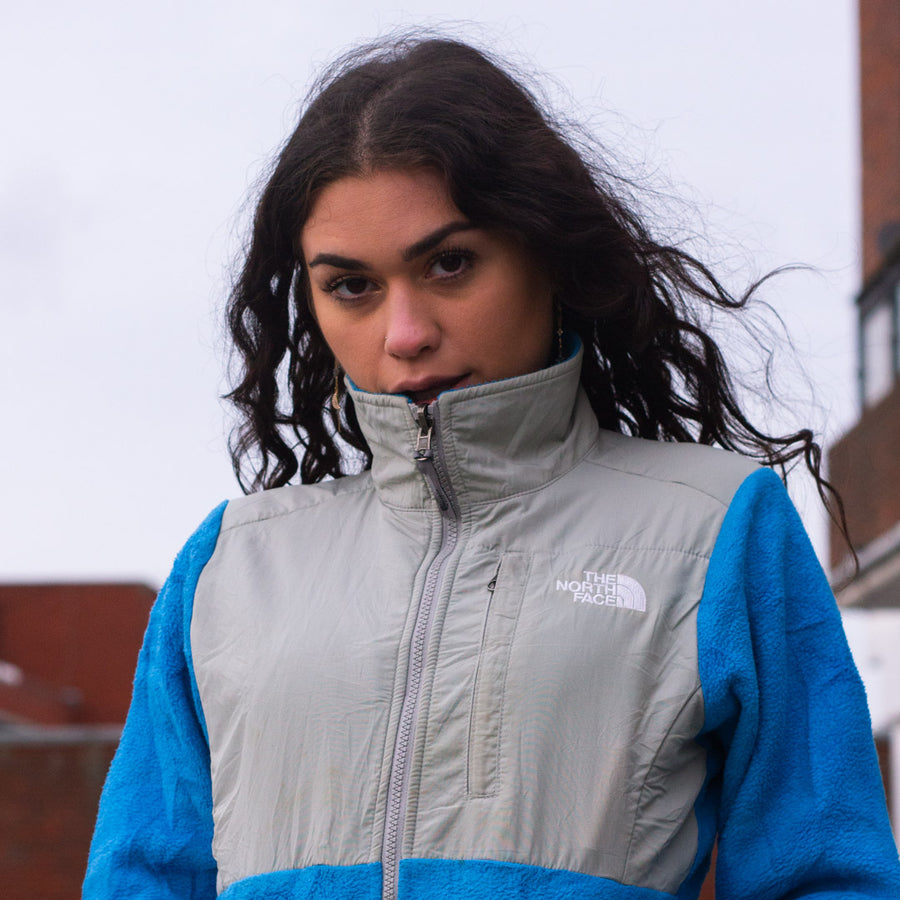 The North Face denali fleece jacket in blue and grey